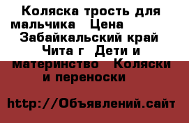 Коляска-трость для мальчика › Цена ­ 1 000 - Забайкальский край, Чита г. Дети и материнство » Коляски и переноски   